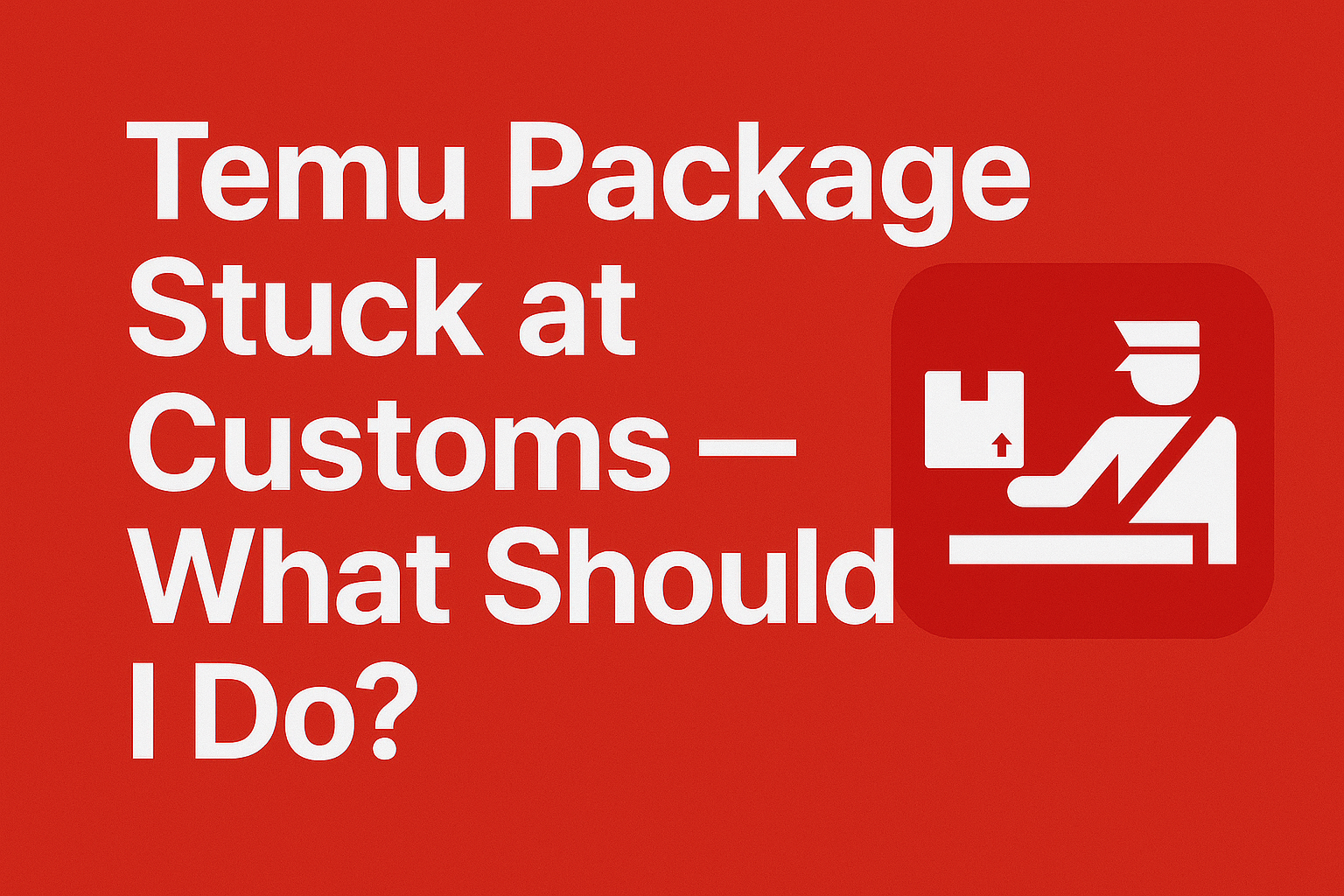Temu Package Stuck at Customs — What Should I Do? [2025]